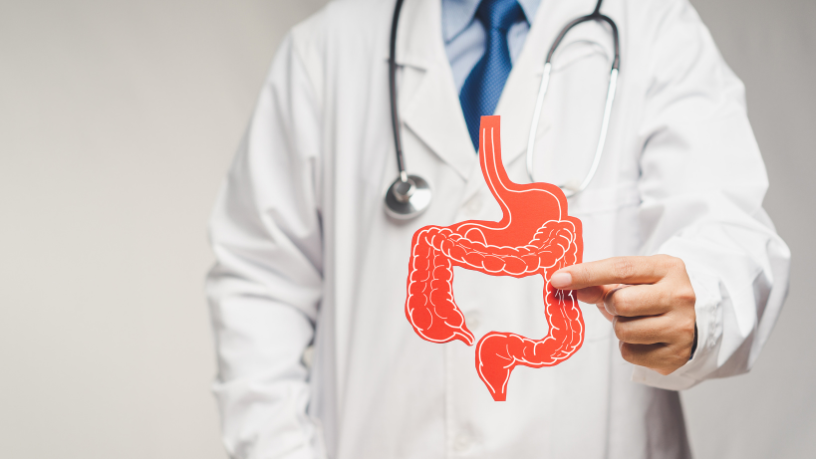 Imunidade, digestão e bem-estar: Gustavo Luíz Guilherme Pinto revela o papel essencial da saúde intestinal na vitalidade do organismo.