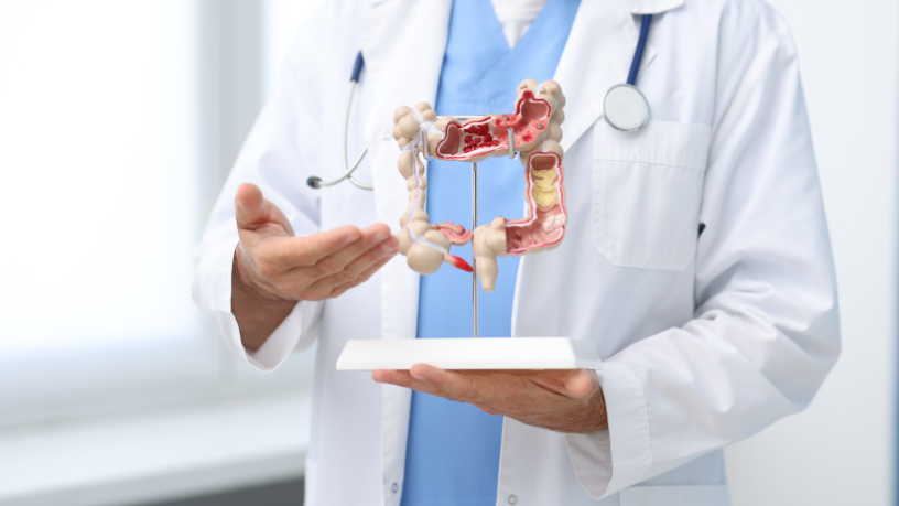 Gustavo Luíz Guilherme Pinto explica como o intestino saudável fortalece o sistema imunitário e melhora o equilíbrio digestivo do corpo.