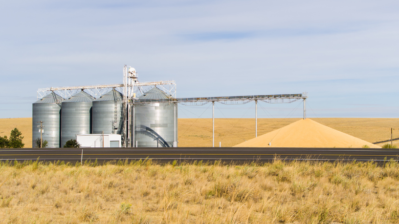 Aldo Vendramin destaca que 5 dicas de eficiência na armazenagem de grãos serão decisivas para competitividade em 2026.