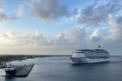 Navio de cruzeiro se aproxima de um píer em um dia nublado.