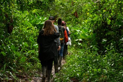 Pessoas caminham por uma trilha cercada por vegetação densa na floresta amazônica.