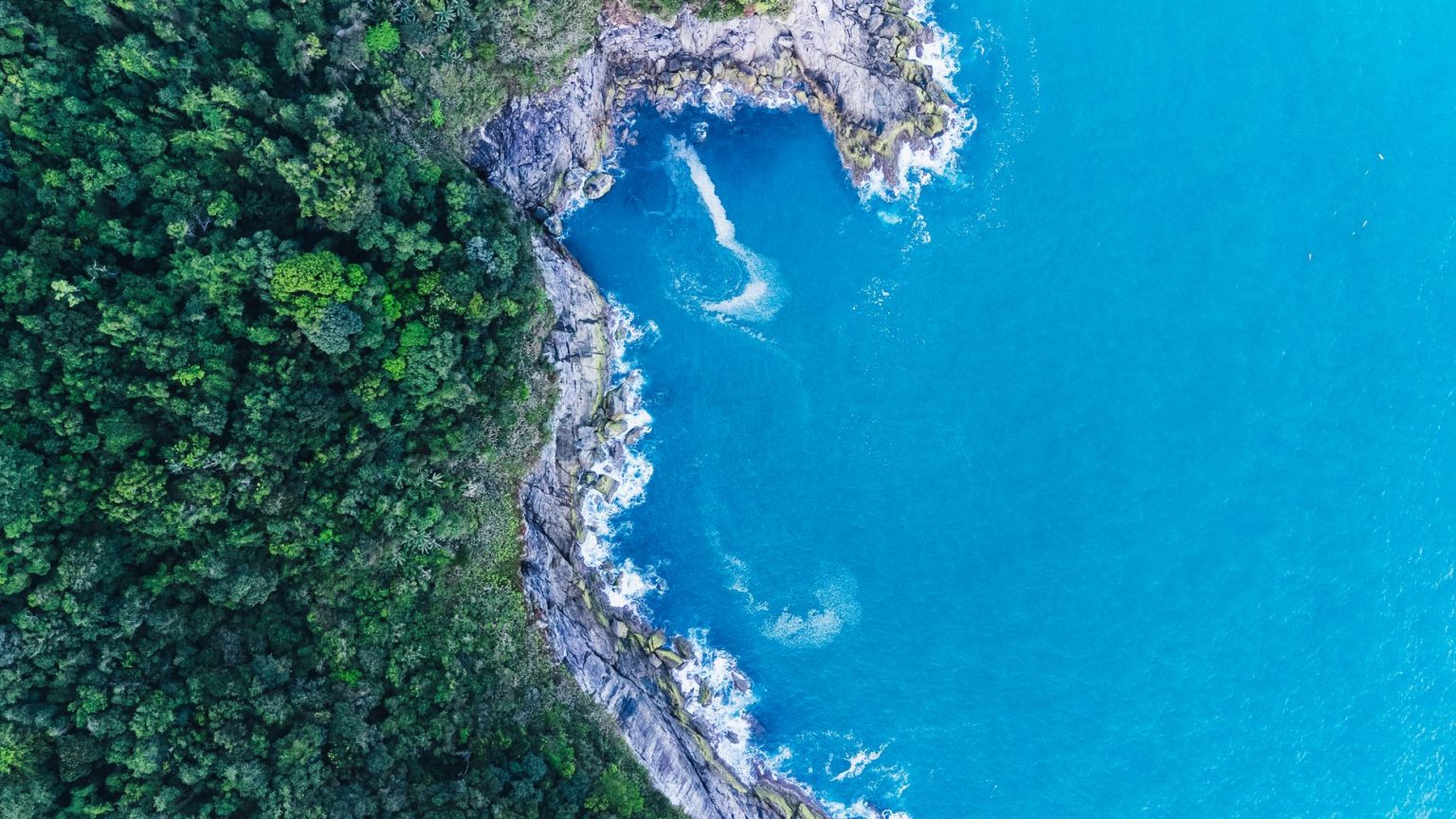 Vista aérea de uma floresta densa junto a uma costa rochosa e ao mar azul no Brasil