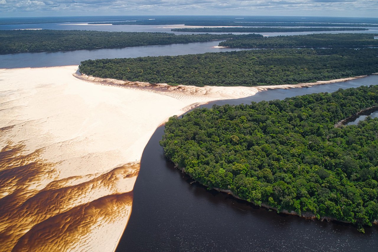 Vista aérea de bancos de areia e floresta às margens de um rio na Amazônia brasileira.